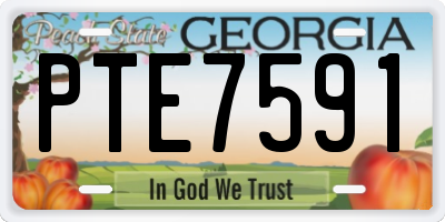GA license plate PTE7591