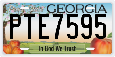 GA license plate PTE7595