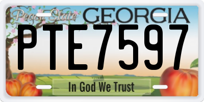 GA license plate PTE7597