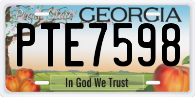 GA license plate PTE7598