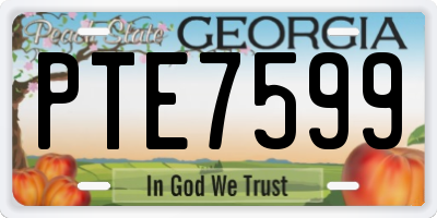 GA license plate PTE7599