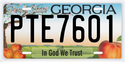 GA license plate PTE7601