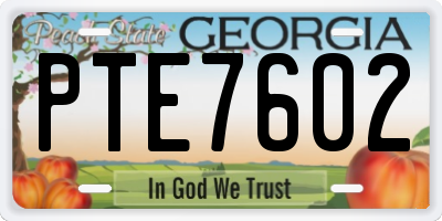 GA license plate PTE7602