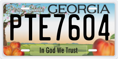 GA license plate PTE7604