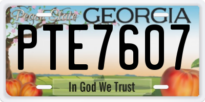 GA license plate PTE7607