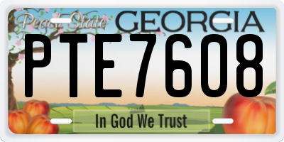 GA license plate PTE7608