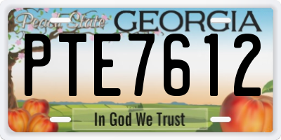 GA license plate PTE7612