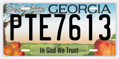 GA license plate PTE7613