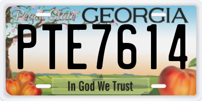 GA license plate PTE7614