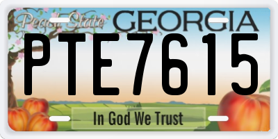 GA license plate PTE7615