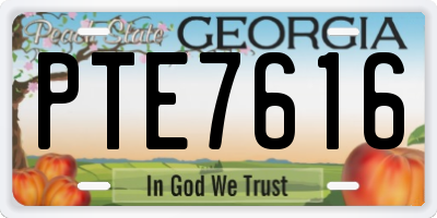 GA license plate PTE7616