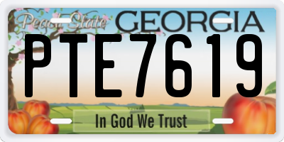 GA license plate PTE7619