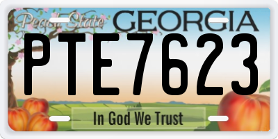 GA license plate PTE7623