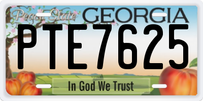 GA license plate PTE7625
