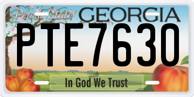 GA license plate PTE7630