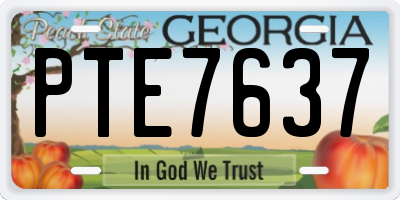 GA license plate PTE7637