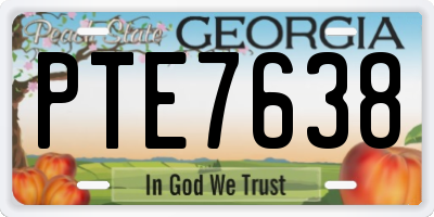 GA license plate PTE7638