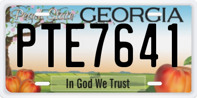 GA license plate PTE7641