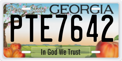 GA license plate PTE7642