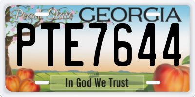 GA license plate PTE7644