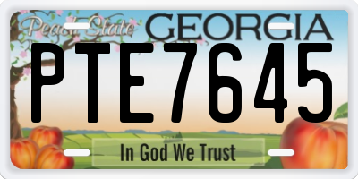 GA license plate PTE7645