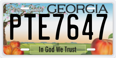 GA license plate PTE7647