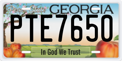 GA license plate PTE7650