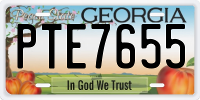 GA license plate PTE7655