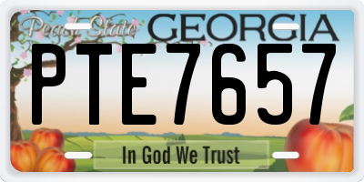 GA license plate PTE7657