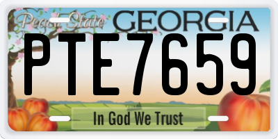 GA license plate PTE7659