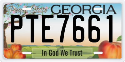 GA license plate PTE7661