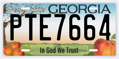 GA license plate PTE7664