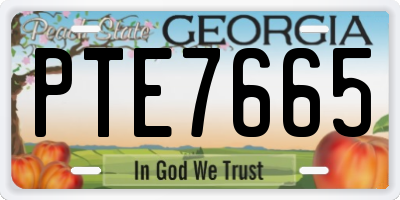 GA license plate PTE7665