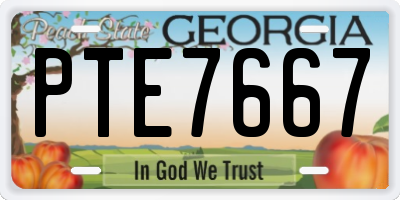 GA license plate PTE7667