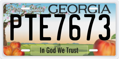 GA license plate PTE7673