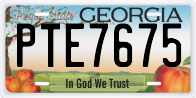 GA license plate PTE7675