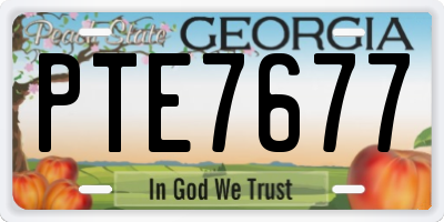 GA license plate PTE7677