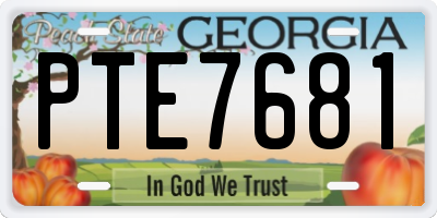 GA license plate PTE7681