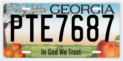 GA license plate PTE7687