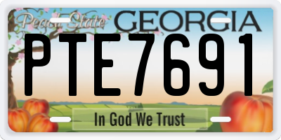 GA license plate PTE7691