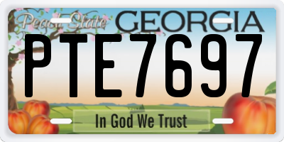 GA license plate PTE7697