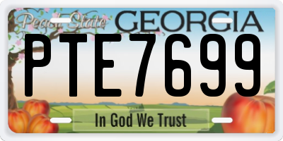 GA license plate PTE7699