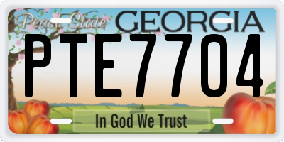 GA license plate PTE7704