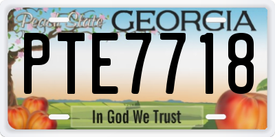 GA license plate PTE7718
