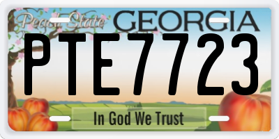 GA license plate PTE7723
