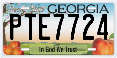 GA license plate PTE7724