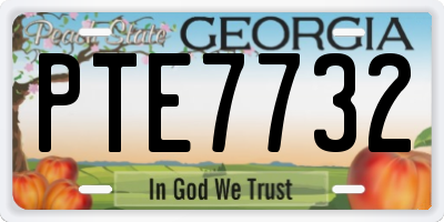 GA license plate PTE7732