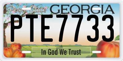GA license plate PTE7733