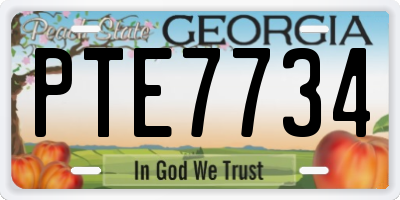 GA license plate PTE7734