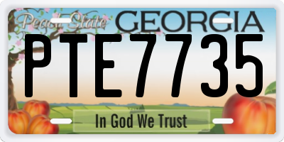 GA license plate PTE7735